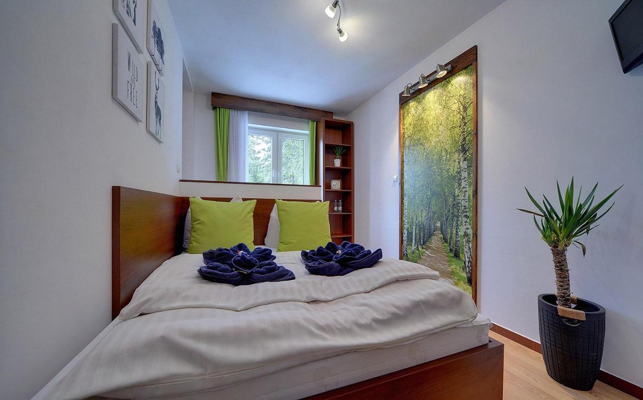 Bed and Breakfast Safir Przy Samym Wyciagu à Karpacz Extérieur photo