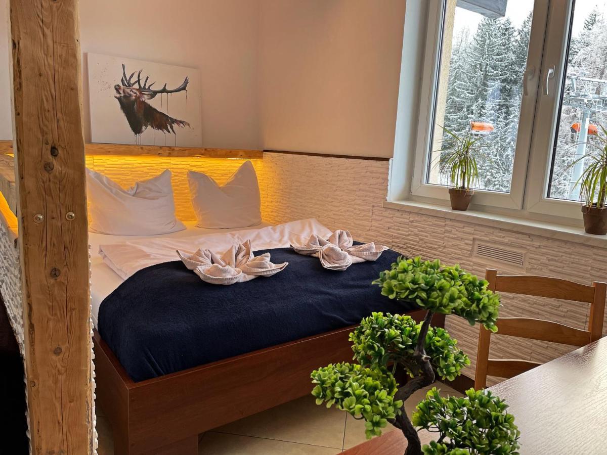 Bed and Breakfast Safir Przy Samym Wyciagu à Karpacz Extérieur photo
