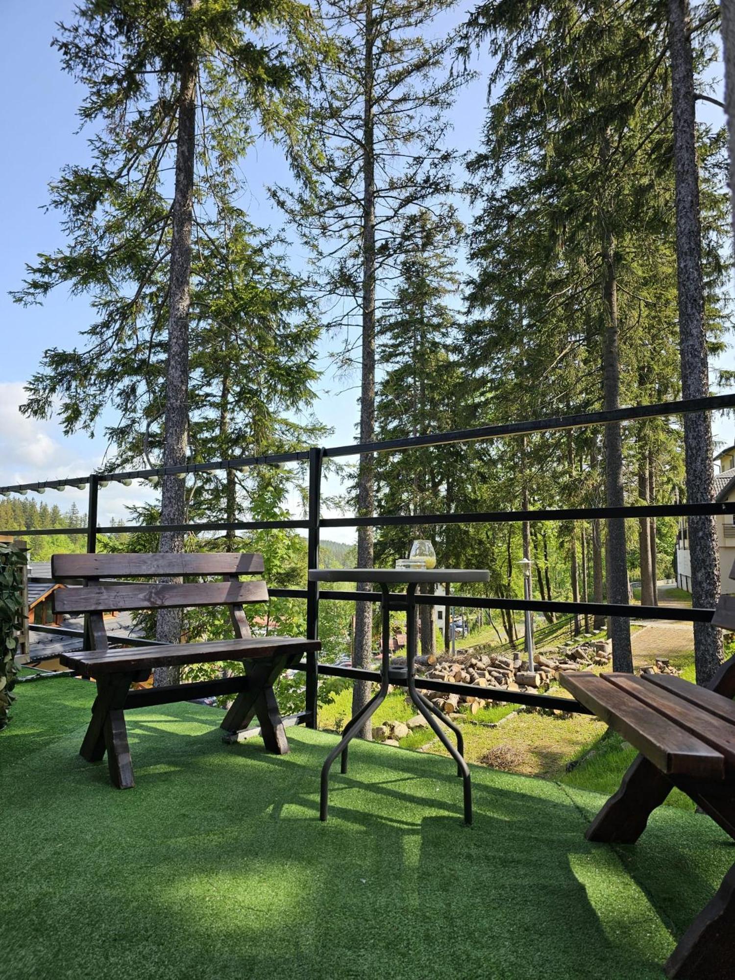 Bed and Breakfast Safir Przy Samym Wyciagu à Karpacz Extérieur photo