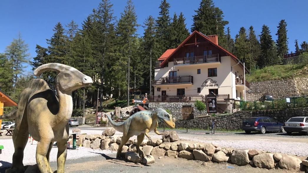 Bed and Breakfast Safir Przy Samym Wyciagu à Karpacz Extérieur photo