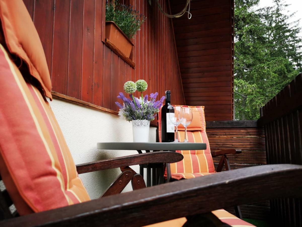 Bed and Breakfast Safir Przy Samym Wyciagu à Karpacz Extérieur photo