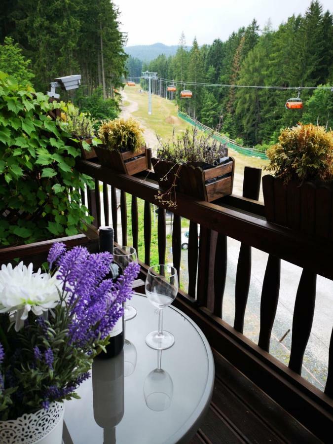 Bed and Breakfast Safir Przy Samym Wyciagu à Karpacz Extérieur photo