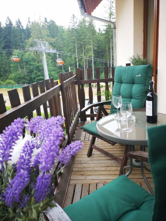 Bed and Breakfast Safir Przy Samym Wyciagu à Karpacz Extérieur photo