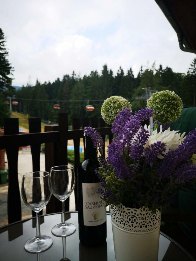 Bed and Breakfast Safir Przy Samym Wyciagu à Karpacz Extérieur photo